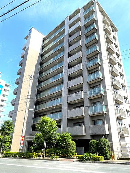 外観：339000055499