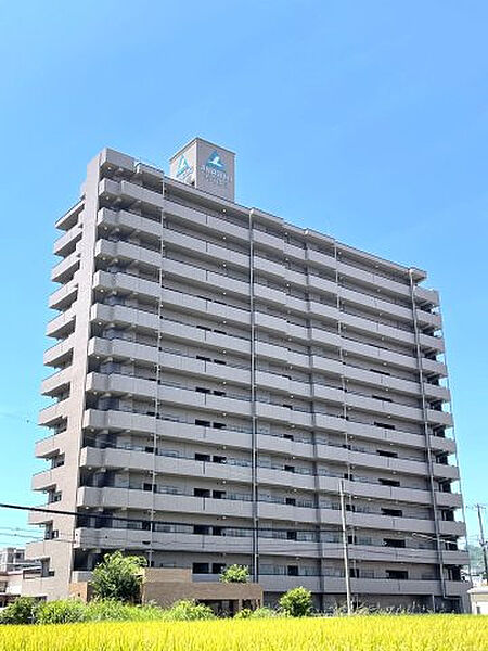 外観：339000055527