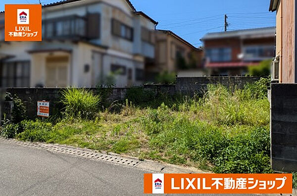 外観：339000050264