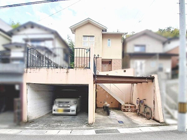 外観：339000032118