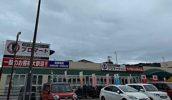 プロマート　百石
