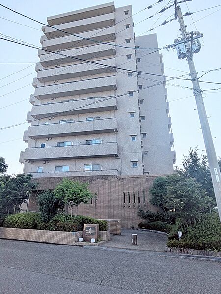外観：339000048321