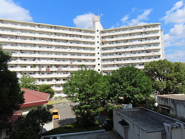 外観：339000032215