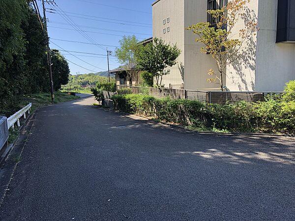 東側　前面道路