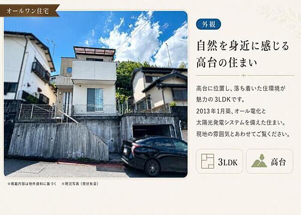 外観：339000046244