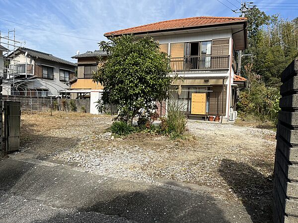 外観：339000050513