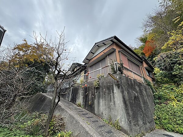 外観：339000052132