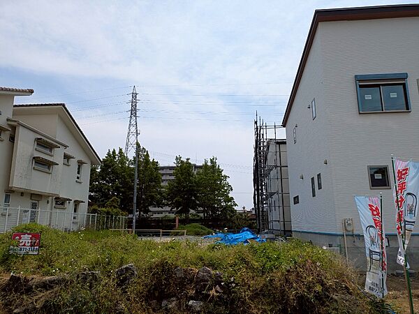 外観：339000032417