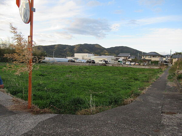 外観：339000046376