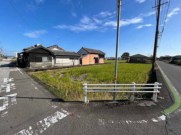 外観：339000046383