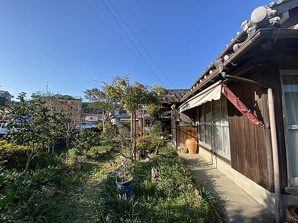 その他画像