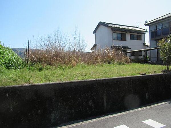 外観：339000046971