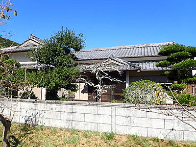 外観 外観