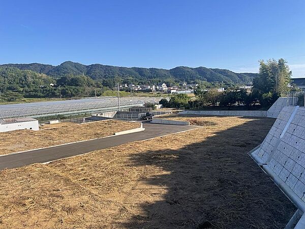 外観：339000049918