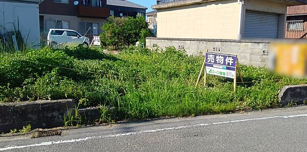 外観：338000045897