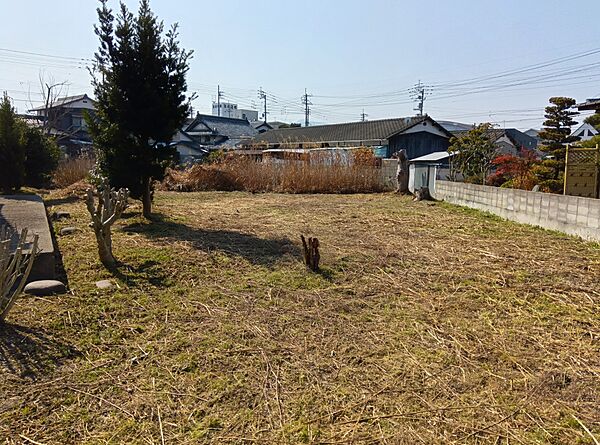 外観：338000052923
