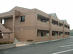 トーケンプロニティ