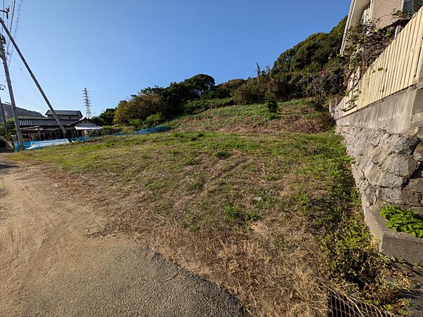 外観：338000039314