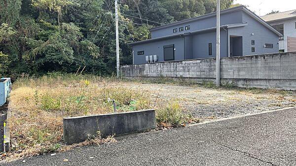 外観：338000034739