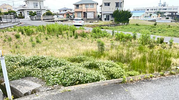全景南から