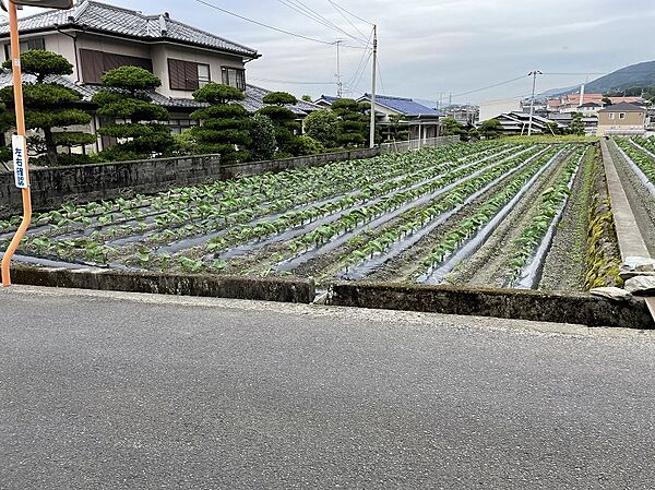 外観：338000025101