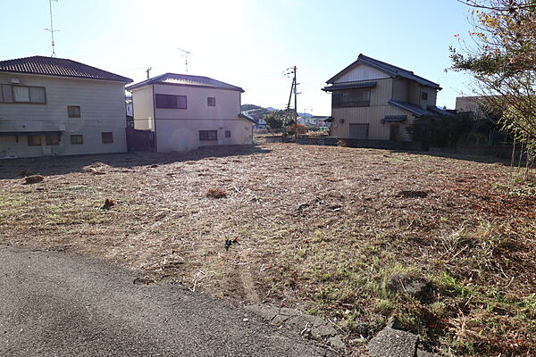 外観：339000049862