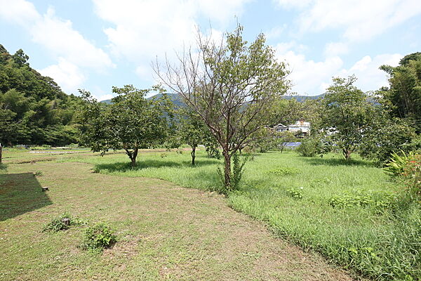 外観：339000050971