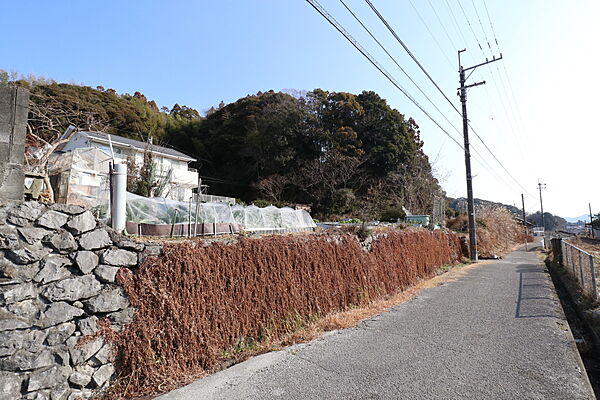 外観：339000052019