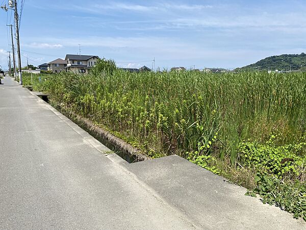 外観：338000022325