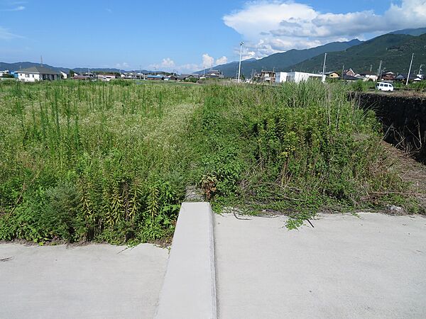 外観：338000046350
