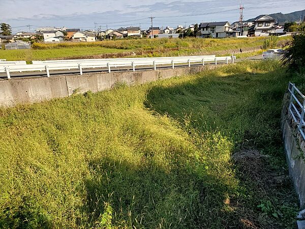 外観：339000046593