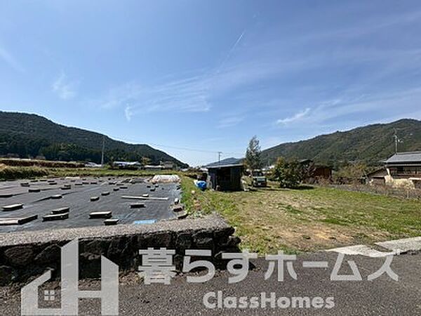 外観：339000053072