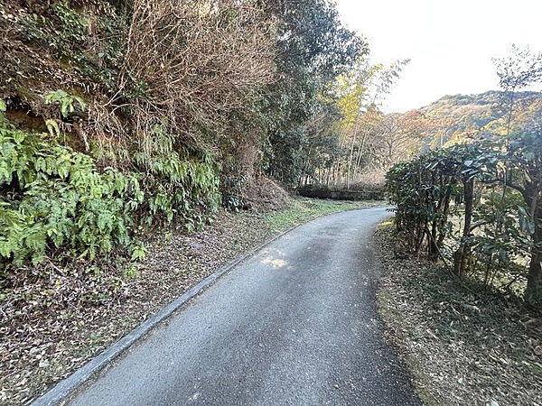【前面道路含む現地写真】