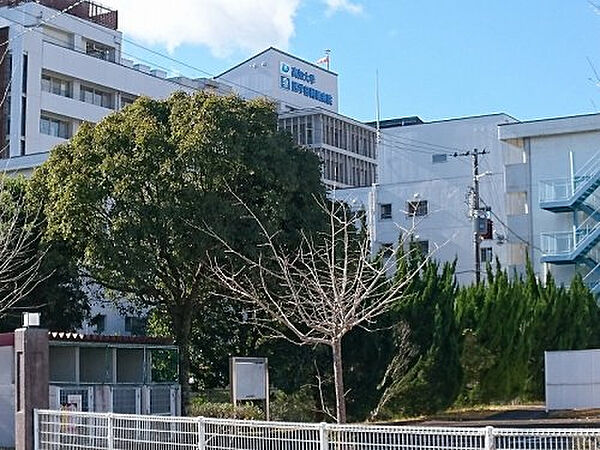 高知大学医学部附属病院約5196m／65分