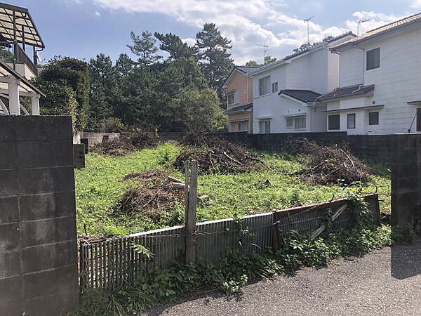 外観：339000048027