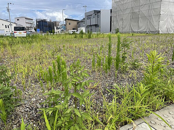 【その他】西側より東を望みて