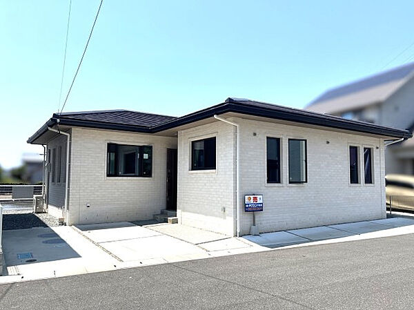 外観：339000048118