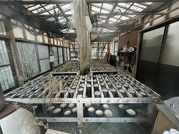 【その他】かつて蘭を栽培していた小屋