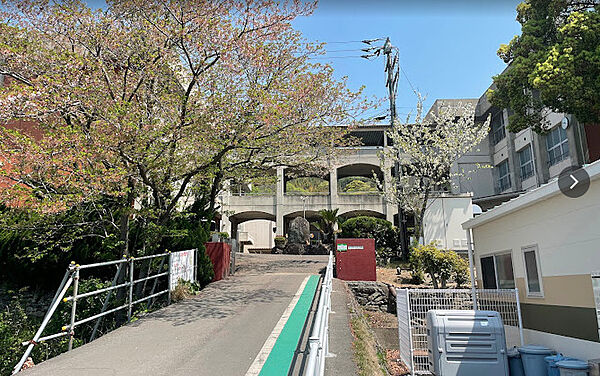 川津小学校まで徒歩約13分