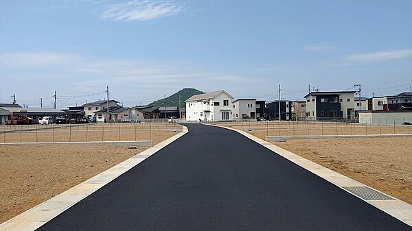 15号地付近より