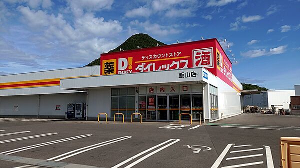 ダイレックス飯山店