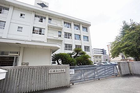 【小学校】松山市立新玉小学校まで621m