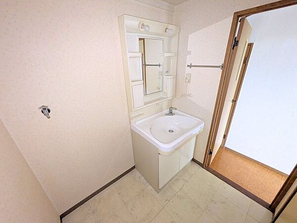 鏡横に小物を整頓できる洗面化粧台。すぐ隣に洗濯機を配置でき、朝の身支度や洗濯動線もスムーズです。