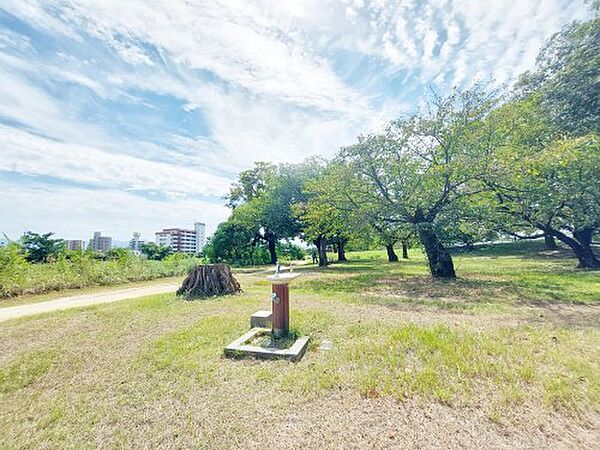 【公園】石手川緑地まで856ｍ
