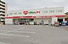 周辺：【ドラッグストア】くすりのレデイ　道後緑台店まで613ｍ