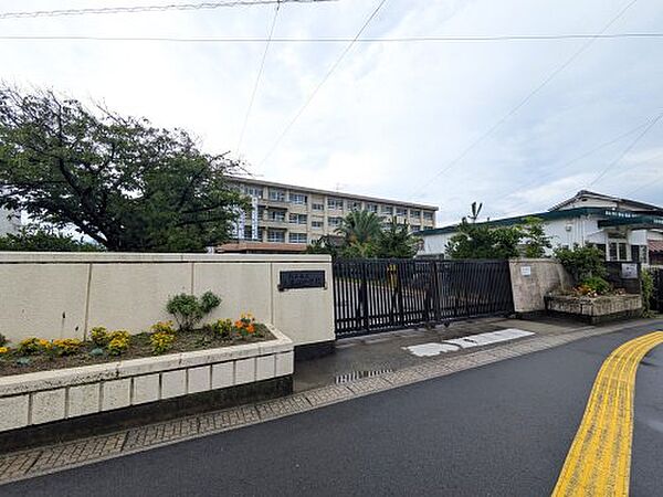 【中学校】松山市立三津浜中学校まで608ｍ