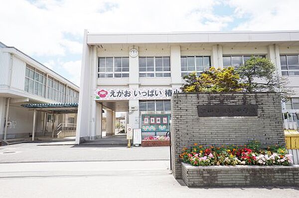 【小学校】松山市立椿小学校まで568ｍ