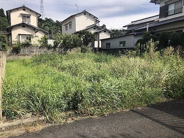 外観：338000055878