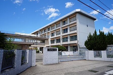 【小学校】松山市立たちばな小学校まで1030ｍ