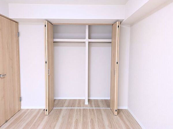 上下に分かれており、小物から洋服までしっかり収納できます。